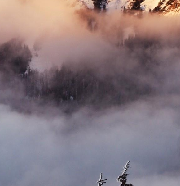 粉象生活能赚到钱吗