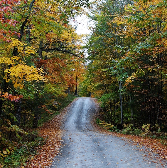 粉象生活可以开实体店吗