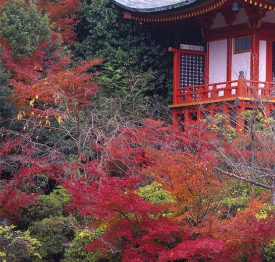 粉象生活线下店