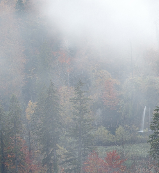 粉象生活机票返利