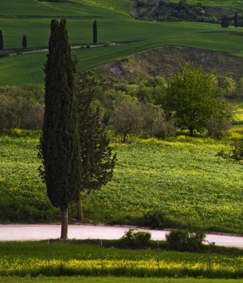 衢州正规粉象生活在线咨询