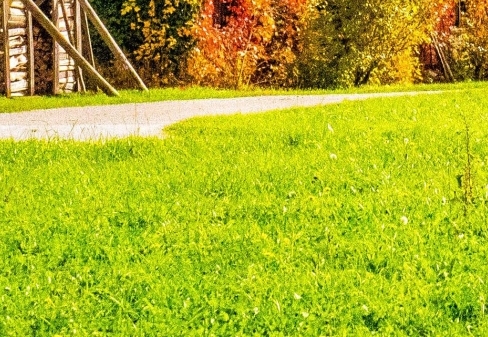 粉象生活天一团队