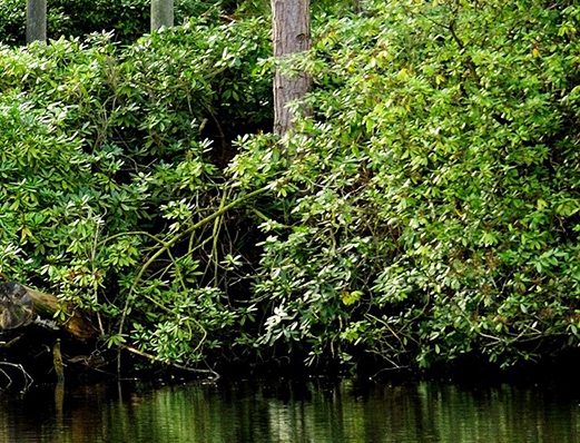粉象生活是正规盘嘛