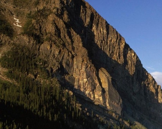 粉象生活可以领取什么东西