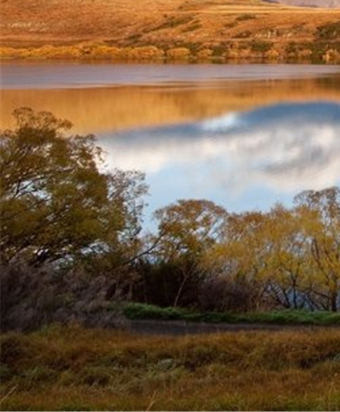 粉象生活怎么赚钱
