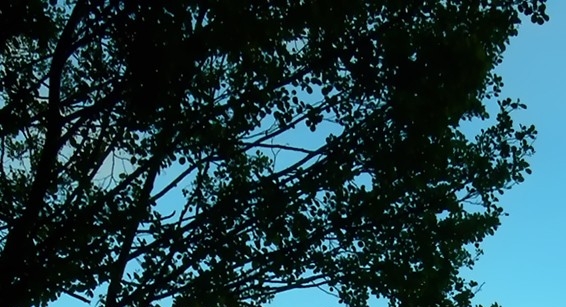 粉象生活分享后怎么没有佣金