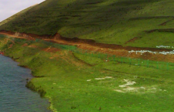 粉象生活怎么设置推荐词