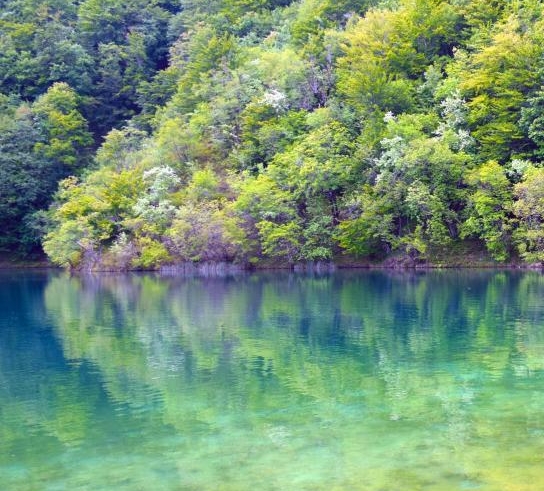 粉象生活邀请码是什么怎么获得
