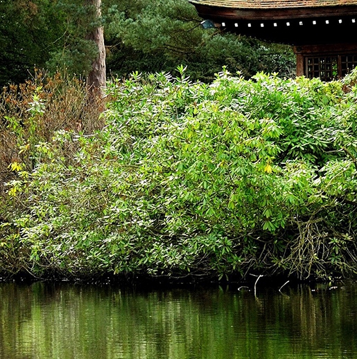 来优品和小象生活