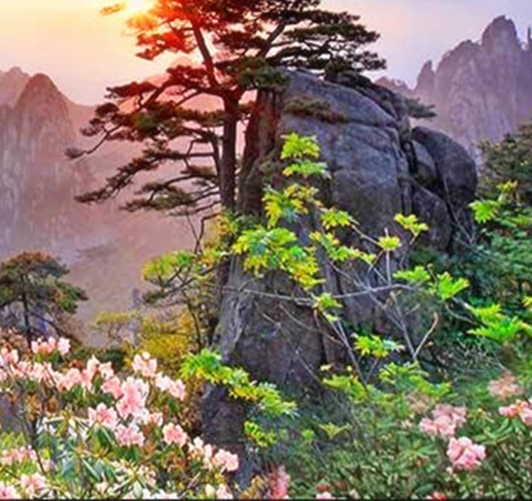 粉象生活下载官方正版