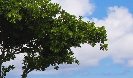 粉象生活怎么才能发起抽奖