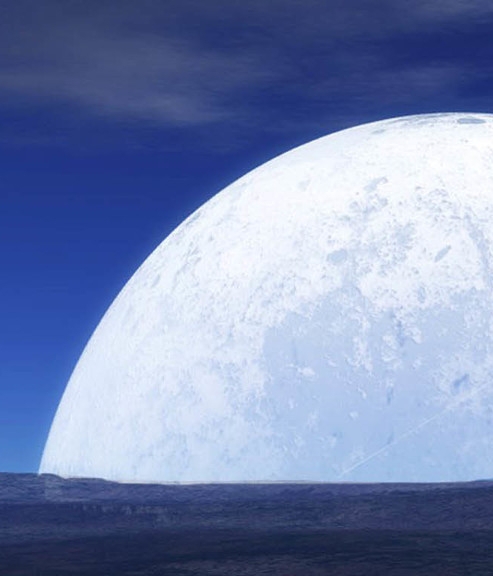 粉象生活日推广50人