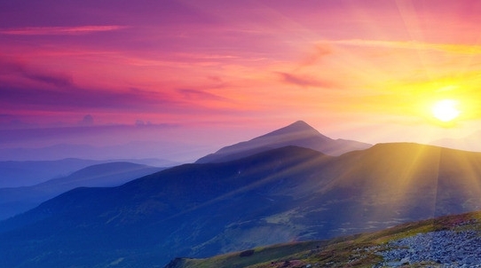 淘券小帮手和粉象生活哪个好