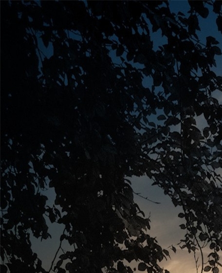 衢州人民医院专家门诊