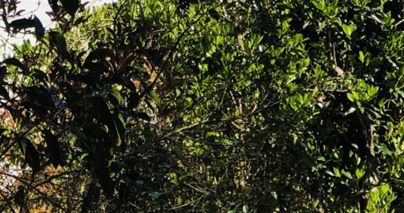 粉象生活城市代理