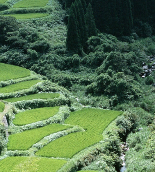 粉象生活收款怎么提现