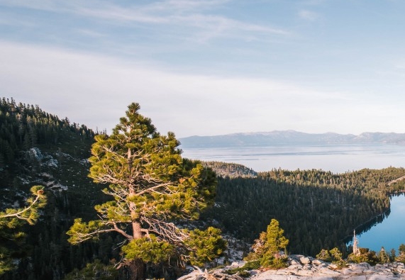 新手粉象生活怎么赚钱
