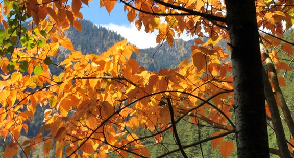 粉象生活推荐人发的收入可信吗