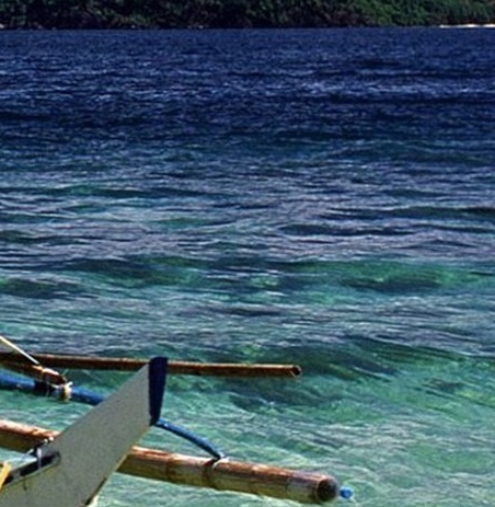 粉象生活能赚到钱吗