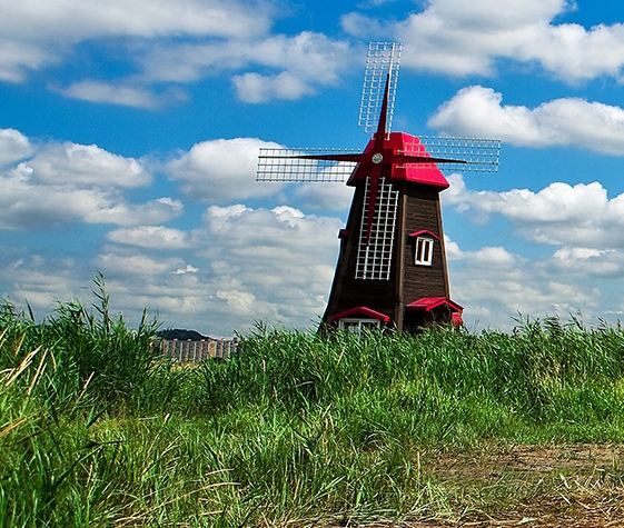 深粉象啤酒喝不下去