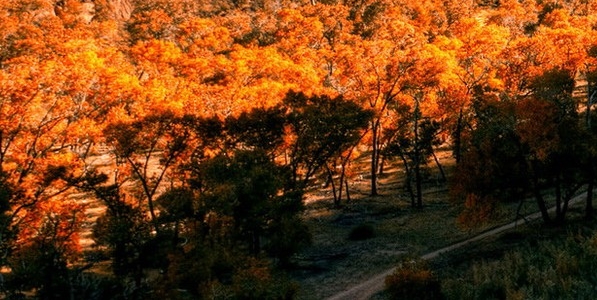 粉象生活奖池里的钱