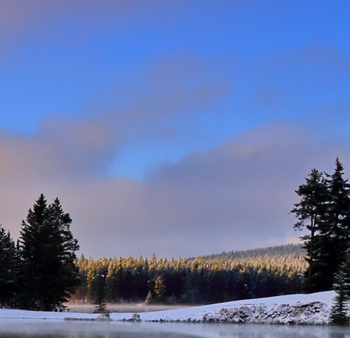 粉象为什么用邀请码