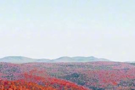 电脑没有应用商城怎么下载