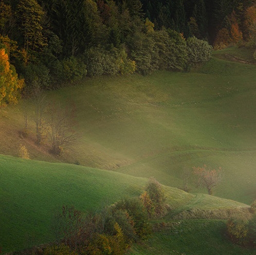 粉象生活靠什么赚钱