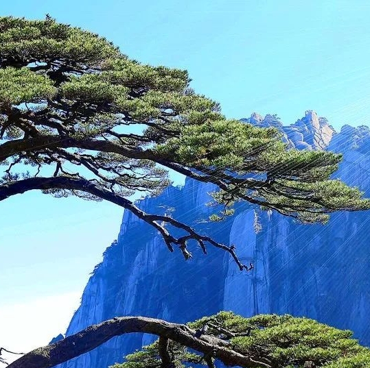 广东粉象生活app