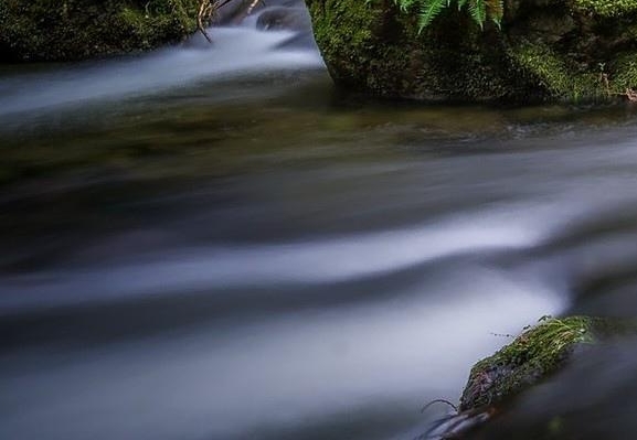 粉象生活需要加好友吗
