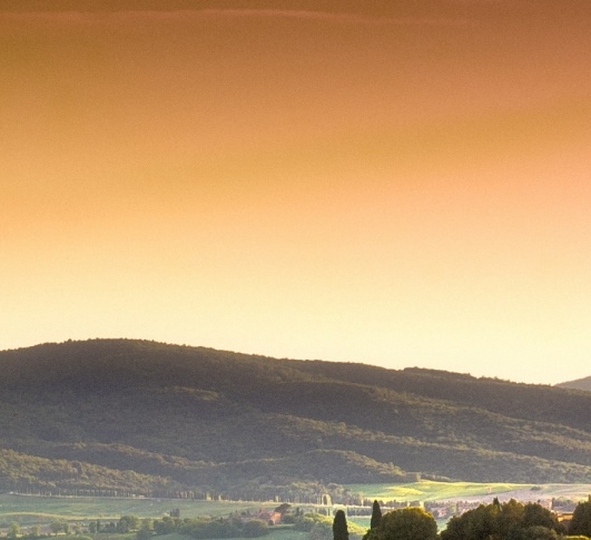 粉象生活怎么去推广