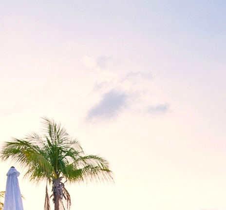 粉象生活怎么赚钱