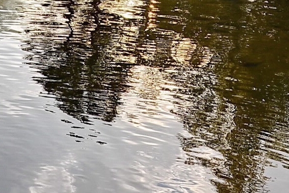 粉象生活邀请码