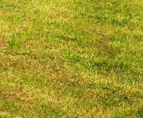 如何快速推广粉象