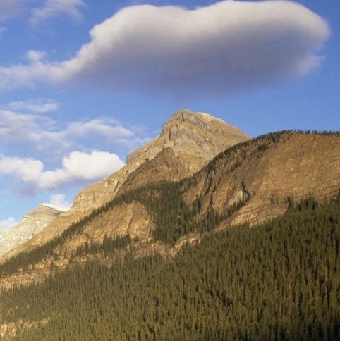 粉象生活邀请码752583