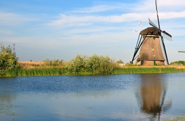 粉象生活投多少