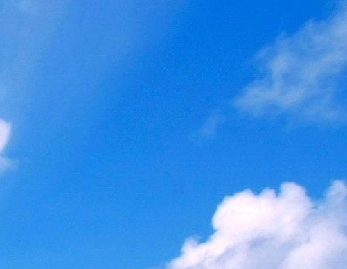 科技木和深粉象的区别