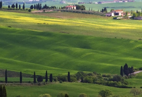 怎样退出粉象生活