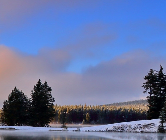 粉象生活送红包