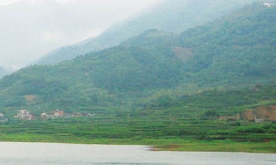 你们是怎么推广粉象的