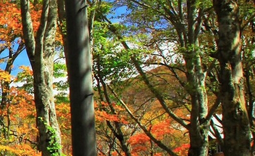 粉象生活跟关系