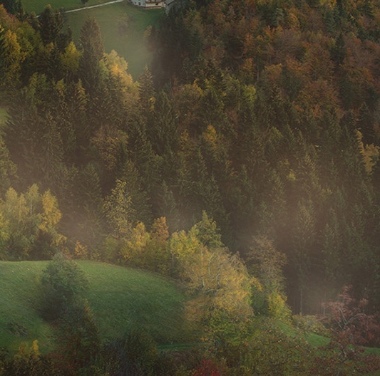 粉象生活下载app