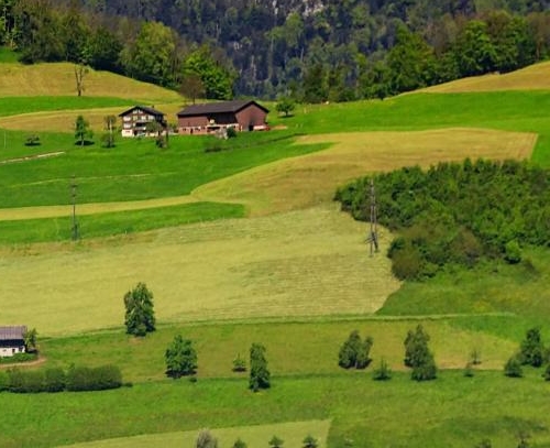 粉象生活上如何做任务