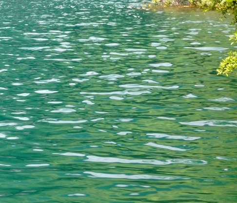 粉象生活怎么使用微信付款