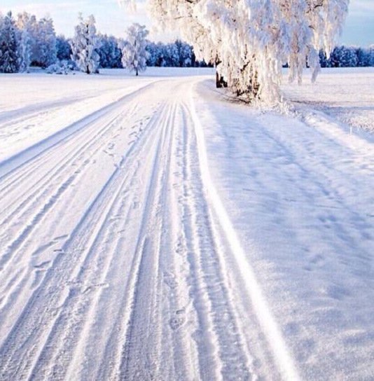 廊坊粉象生活代理