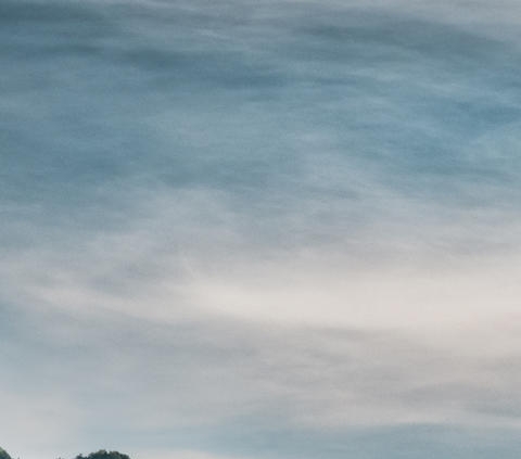 粉象生活用什么登录