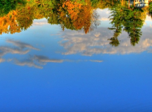 粉象生活如何注册新号用户