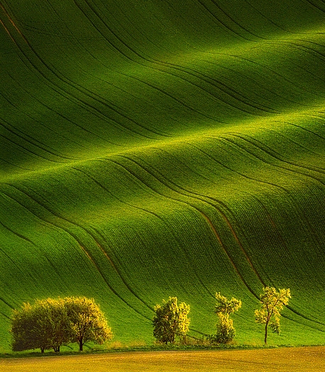 粉象生活李红星简历