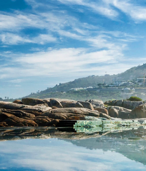 粉象生活水果树要种多久