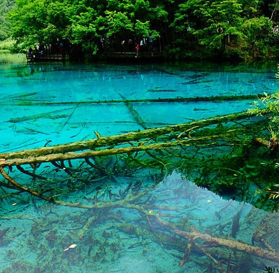 粉象生活年度盛典